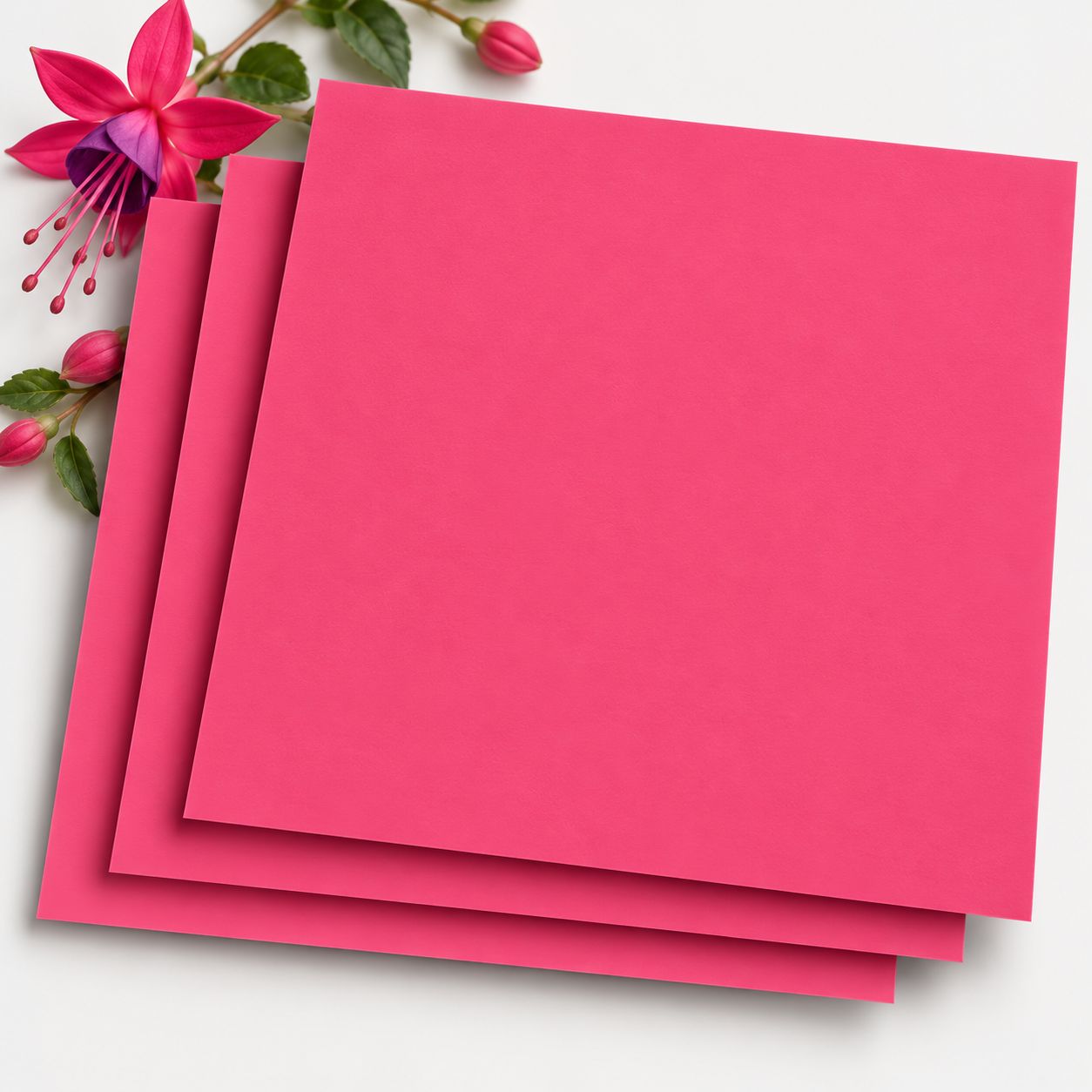 fuchsia-10