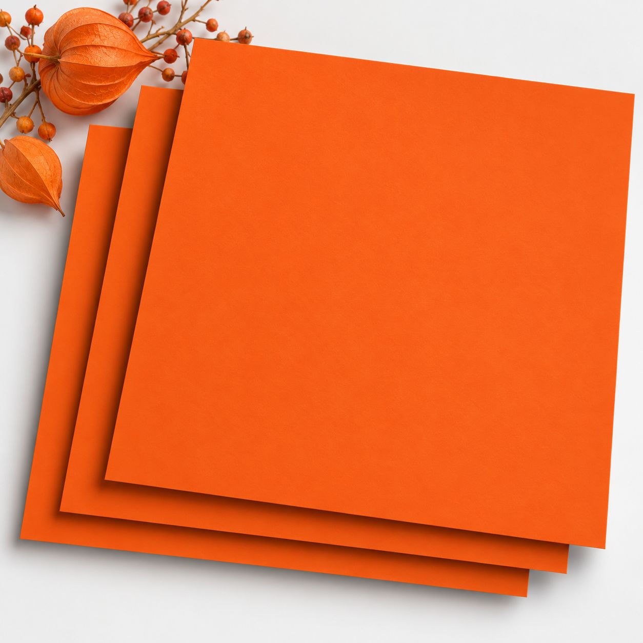 orange-08