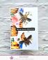 Preview: LaCreativ - Designpapier "Summ, Summ, Sommer" Paper Pack 6x6" - 24 Bogen