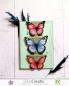 Preview: LaCreativ - Designpapier "Schmetterlinge & Wildblumen" Paper Pack 6x6" - 24 Bogen