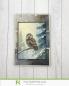 Preview: LaCreativ - Designpapier "Zauberhafte Wintereulen" Paper Pack 6x6" - 24 Bogen