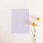 Preview: Simple-Pocket-Karte B6 Struktur-Karton "Struktur Zartrose"