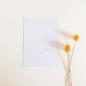 Preview: Simple-Pocket-Karte B6 Recycling-Karton "Recycling Weiss"