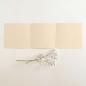 Trippel-Pocketfold-Karte quadratisch (15x15) Premium-Karton "Creme" Basic Line