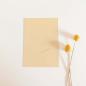 Preview: Simple-Pocket-Karte B6 Struktur-Karton "Struktur Sand"