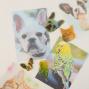 Preview: Vaessen Creative - Schrumpffolie (Inkjet) "Transparent" 25 Bogen