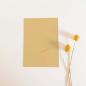 Preview: Simple-Pocket-Karte B6 Premium-Karton "Cappucino"