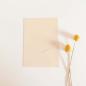 Preview: Simple-Pocket-Karte B6 Premium-Karton "Creme"
