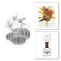 Preview: Spellbinders - Wachssiegel Stempel "Pumpkin Trio" Wax Seal Stamp