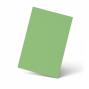 Karte - Einlegekarte DIN B6 240g/m² in pistazie