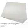 Cardstock "Metallic" 12"x12"  300g/m² (30,5 x 30,5cm) in metallic champagner