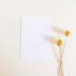 Preview: Simple-Pocket-Karte B6 Premium-Karton "Weiss"