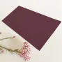 Preview: Einstecktasche DIN Lang Premium-Karton "Waldbeere" 
