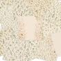 Preview: LaCreativ - Designpapier "Trockenblumen" Paper Pack 6x6" - 24 Bogen