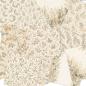 Preview: LaCreativ - Designpapier "Zarte Winterzweige" Paper Pack 6x6" - 24 Bogen