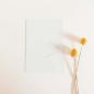 Preview: Simple-Pocket-Karte B6 Premium-Karton "Elfenbein"