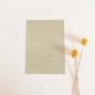 Preview: Simple-Pocket-Karte B6 Recycling-Karton "Graskarton"