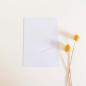 Preview: Simple-Pocket-Karte B6 Struktur-Karton "Leinen (weiss)"