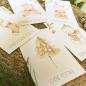 Preview: Weihnachtskarten-Bundle DIN A6 "Cute Christmas" | Grußkarten-Set | Postkarten