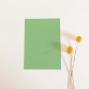 Preview: Simple-Pocket-Karte B6 Premium-Karton "Pistazie"