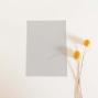 Preview: Simple-Pocket-Karte B6 Premium-Karton "Seidengrau"
