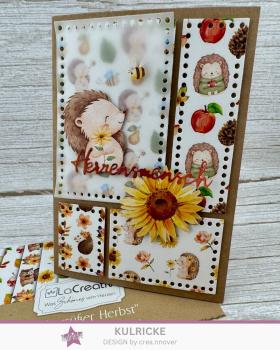 LaCreativ - Designpapier "Zuckersüßer Herbst" Paper Pack 6x6" - 24 Bogen