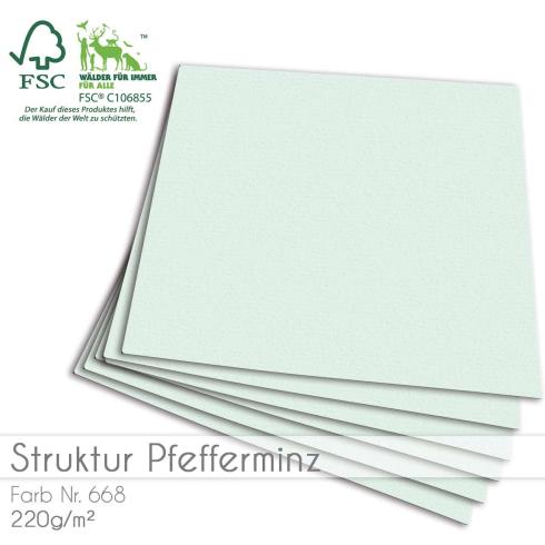 Cardstock "Struktur" 12"x12"  210g/m² (30,5 x 30,5cm) in struktur pfefferminz