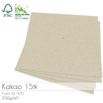 Cardstock "Recycling" 12"x12"  250g/m² (30,5 x 30,5cm) in recycling kakao