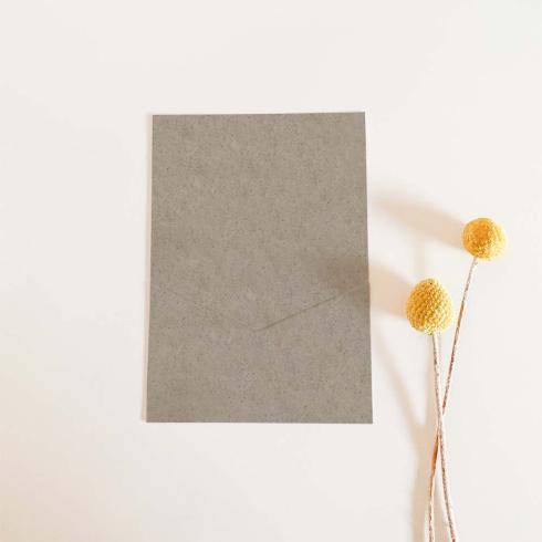 Simple-Pocket-Karte B6 Recycling-Karton "Recycling Silphie"