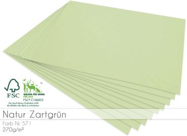 Cardstock "Natur" - Bastelpapier 270g/m² DIN A4 in natur zartgrün - 5 Bogen