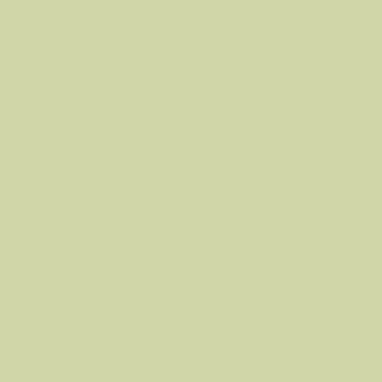 Preview: Tonkarton - Tonpapier DIN A4 120g/m² - 25 Bogen in natur salbei