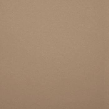 Preview: Tonkarton - Tonpapier DIN A4 120g/m² - 25 Bogen in natur zimtbraun
