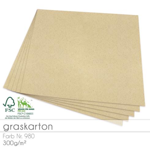 Cardstock "Recycling" 12"x12"  300g/m² (30,5 x 30,5cm) in Graskarton