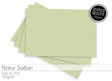 Tonkarton - Tonpapier DIN A4 120g/m² - 25 Bogen in natur salbei