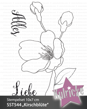 Preview: SET Stempelset "Kirschblüte" & Designpapier "Vintage Kirschblüte"