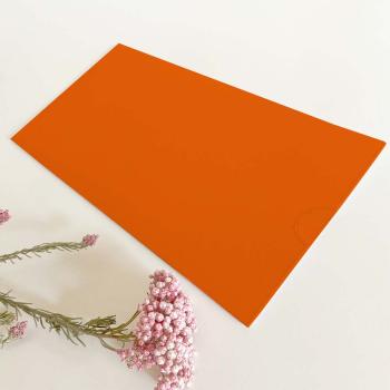 Einstecktasche DIN Lang Premium-Karton "Orange" 