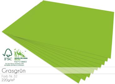 Cardstock "Premium" - Bastelpapier 220g/m² DIN A4 in grasgrün - 25 Bogen