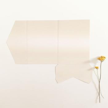 Preview: Pocketfold-Karte B6 Premium-Karton "Metallic Champagner" Exklusiv Line