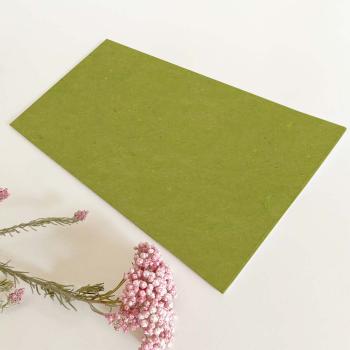 Einstecktasche DIN Lang Recycling-Karton "Kraft Grün" 