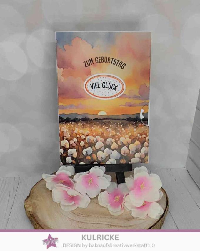 LaCreativ - Designpapier "Zarte Baumwollträume" Paper Pack 6x6" - 24 Bogen