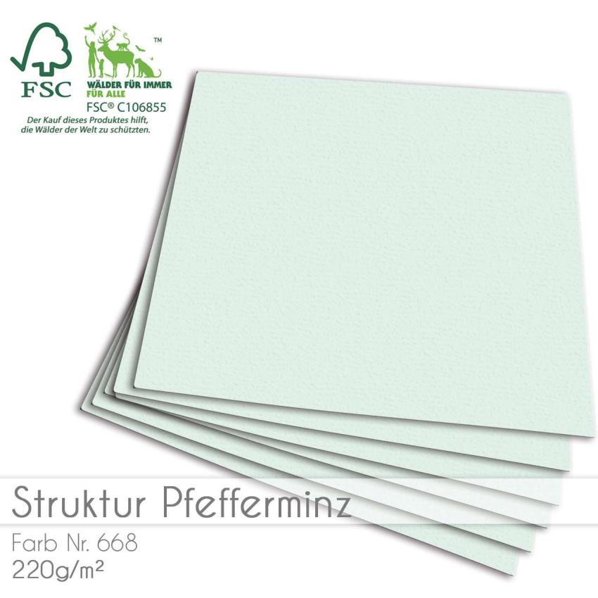 Cardstock "Struktur" 12"x12"  210g/m² (30,5 x 30,5cm) in struktur pfefferminz