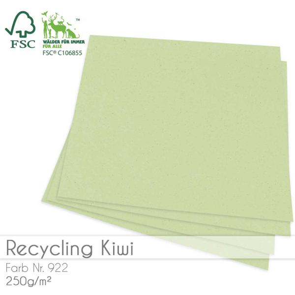 Cardstock "Recycling" 12"x12"  250g/m² (30,5 x 30,5cm) in recycling kiwi