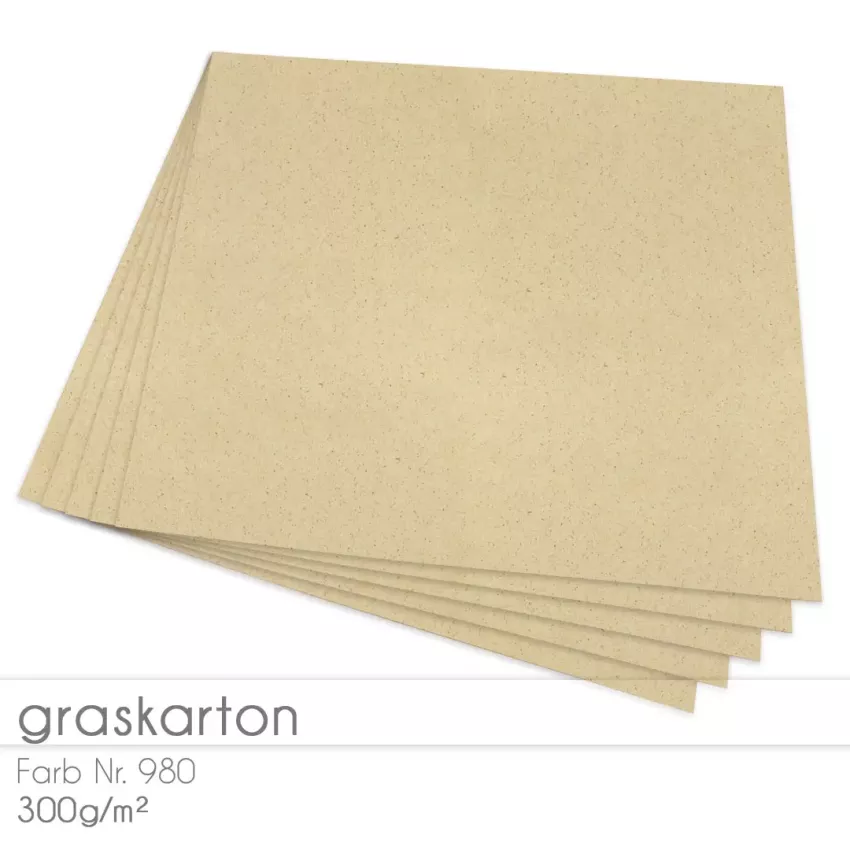 Cardstock "Recycling" 12"x12" 300g/m² (30,5 x 30,5cm) in Graskarton