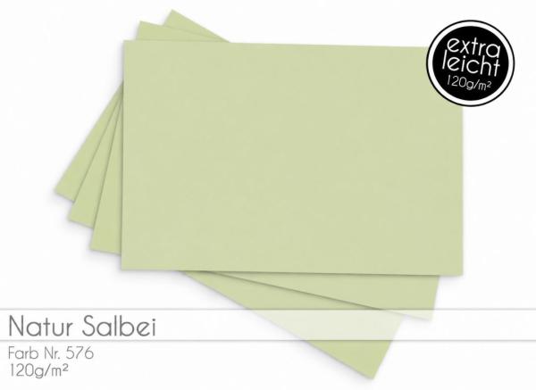 Tonkarton - Tonpapier DIN A4 120g/m² - 25 Bogen in natur salbei