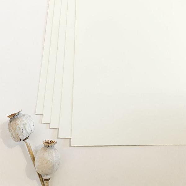 Cardstock "Premium" - Bastelpapier 240g/m² DIN A4 in elfenbein - 25 Bogen