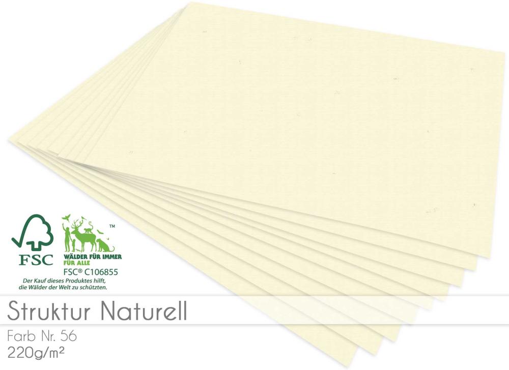 Cardstock "Struktur" - Bastelpapier 220g/m² DIN A4 in struktur naturell